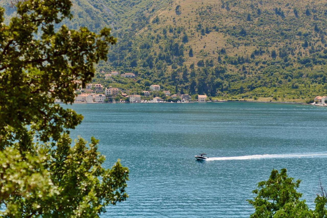 Iva'S Sea View Balcony Daire Kotor Dış mekan fotoğraf